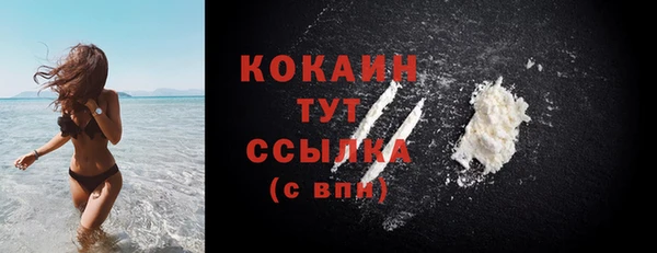 ECSTASY Богородицк