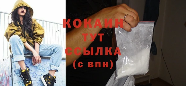 ECSTASY Богородицк