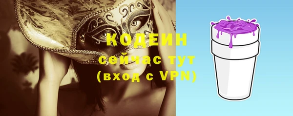 ECSTASY Богородицк