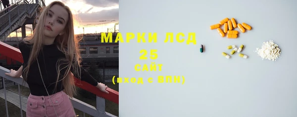 соль ск Богданович