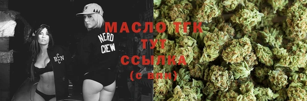 ECSTASY Богородицк